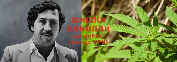 прущие крисы Арсеньев