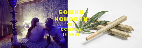 прущие крисы Арсеньев
