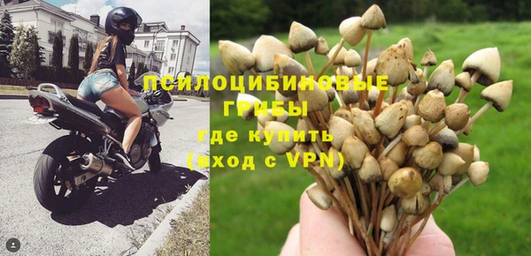 мескалин Баксан