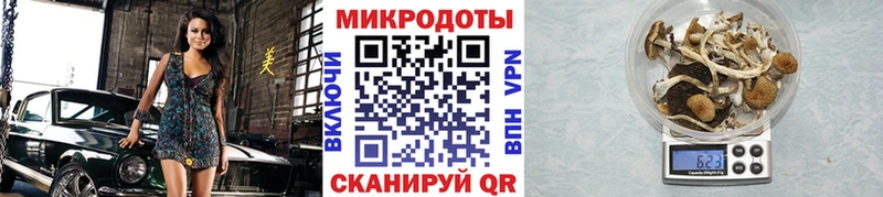 Псилоцибиновые грибы мицелий  МЕГА ONION  Сосенский 